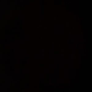 Meet your Posher, Callie